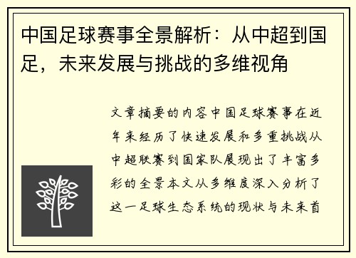 中国足球赛事全景解析：从中超到国足，未来发展与挑战的多维视角