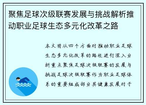 聚焦足球次级联赛发展与挑战解析推动职业足球生态多元化改革之路