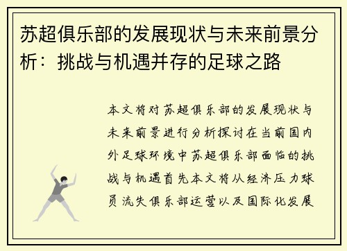 苏超俱乐部的发展现状与未来前景分析：挑战与机遇并存的足球之路