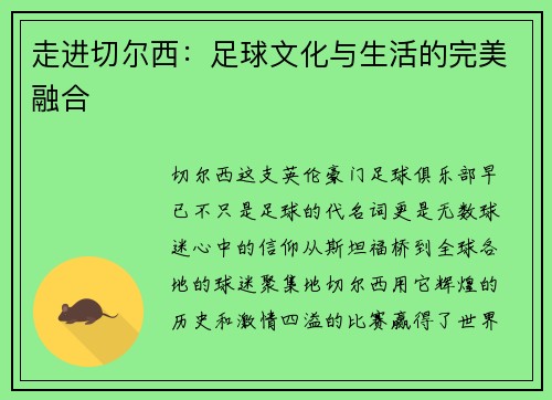 走进切尔西：足球文化与生活的完美融合